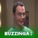Buzzinga !