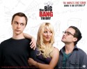 The Big Bang Theory Saison 1 - Affiches 