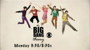 The Big Bang Theory Saison 2 - Affiches 