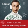 The Big Bang Theory Saison 6 - Affiches 