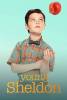 The Big Bang Theory Affiches 