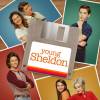The Big Bang Theory Affiches 